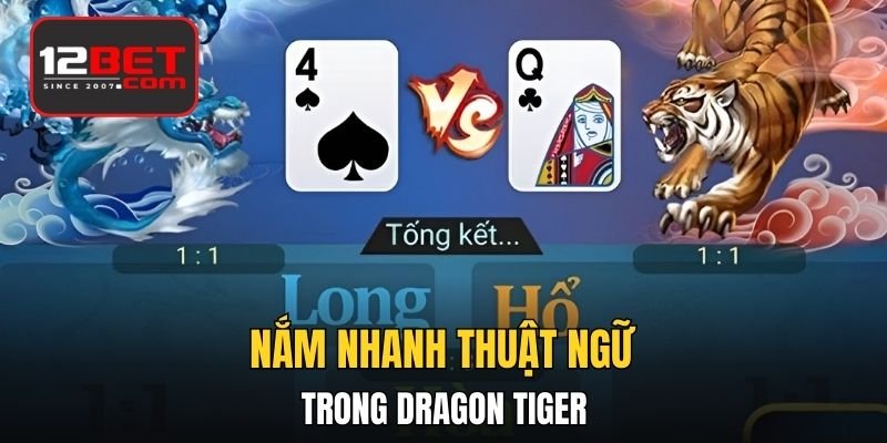 Nắm nhanh thuật ngữ trong Dragon Tiger
